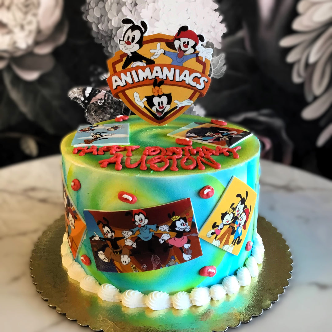 Zany adventure, Yakko, Wakko, Dot, Animaniacs, Retro Cake, 90's Cake, Bakery near me